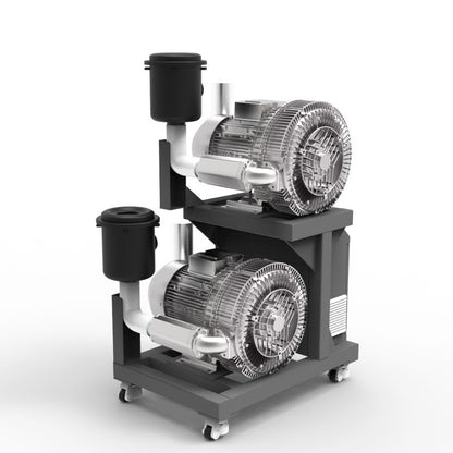 Regenerative Dual Vacuum Pump